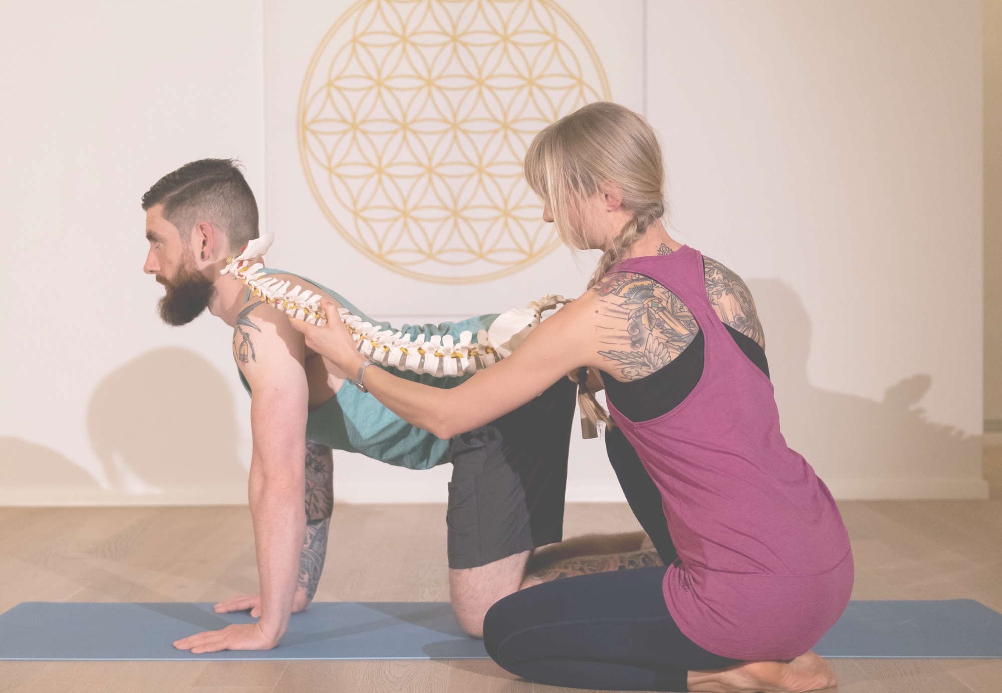 Einfach Yoga
